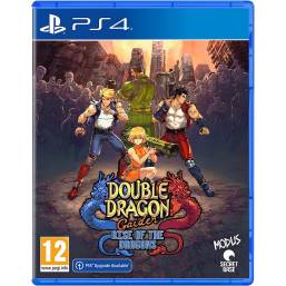 Double Dragon Gaiden Rise of the Dragons PS4 Double Dragon Gaiden Rise of the Dragons PS4